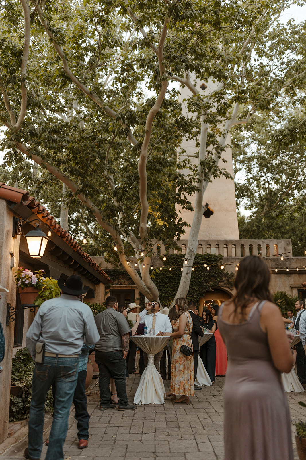 guests mingling and talking during cocktail hour with twinkling lights in the trees