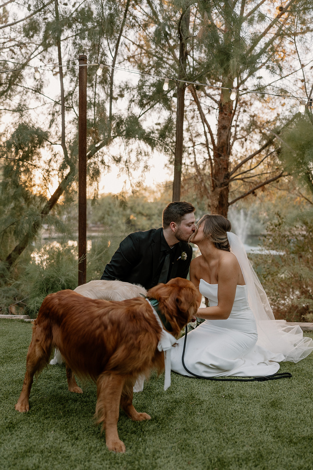 A couple shares a kiss on a grassy lawn beside a quiet lake, their two fluffy dogs adorably stealing the show.