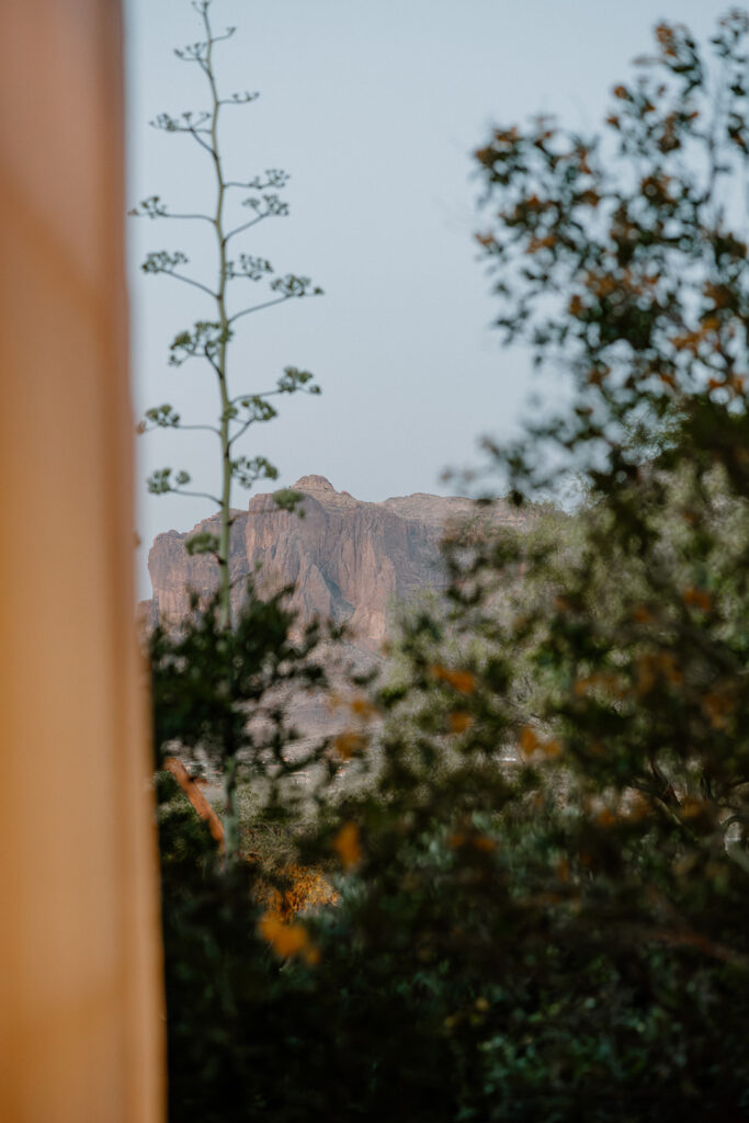 A glimpse of the Superstition Mountains through desert foliage, framed by architecture at The Paseo.