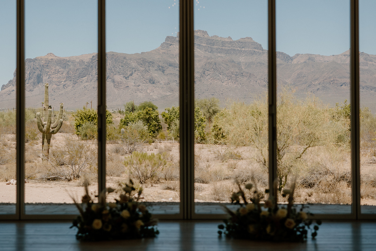 A wedding photographer capturing a couple in the Arizona desert, surrounded by cacti and stunning sunset colors.