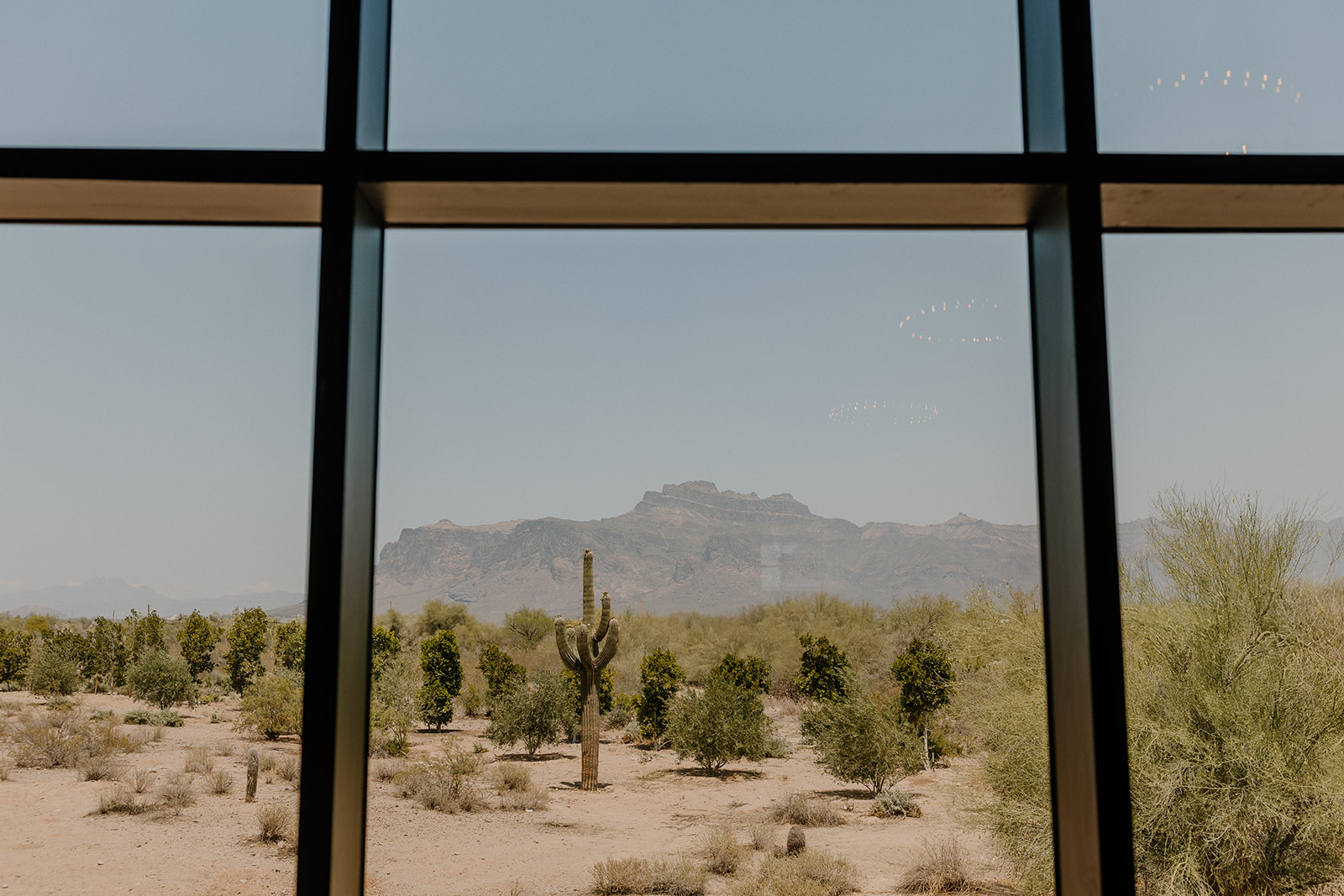 Close up of view through windows looking at desert landscape with tall cactus and mountains in the background. 