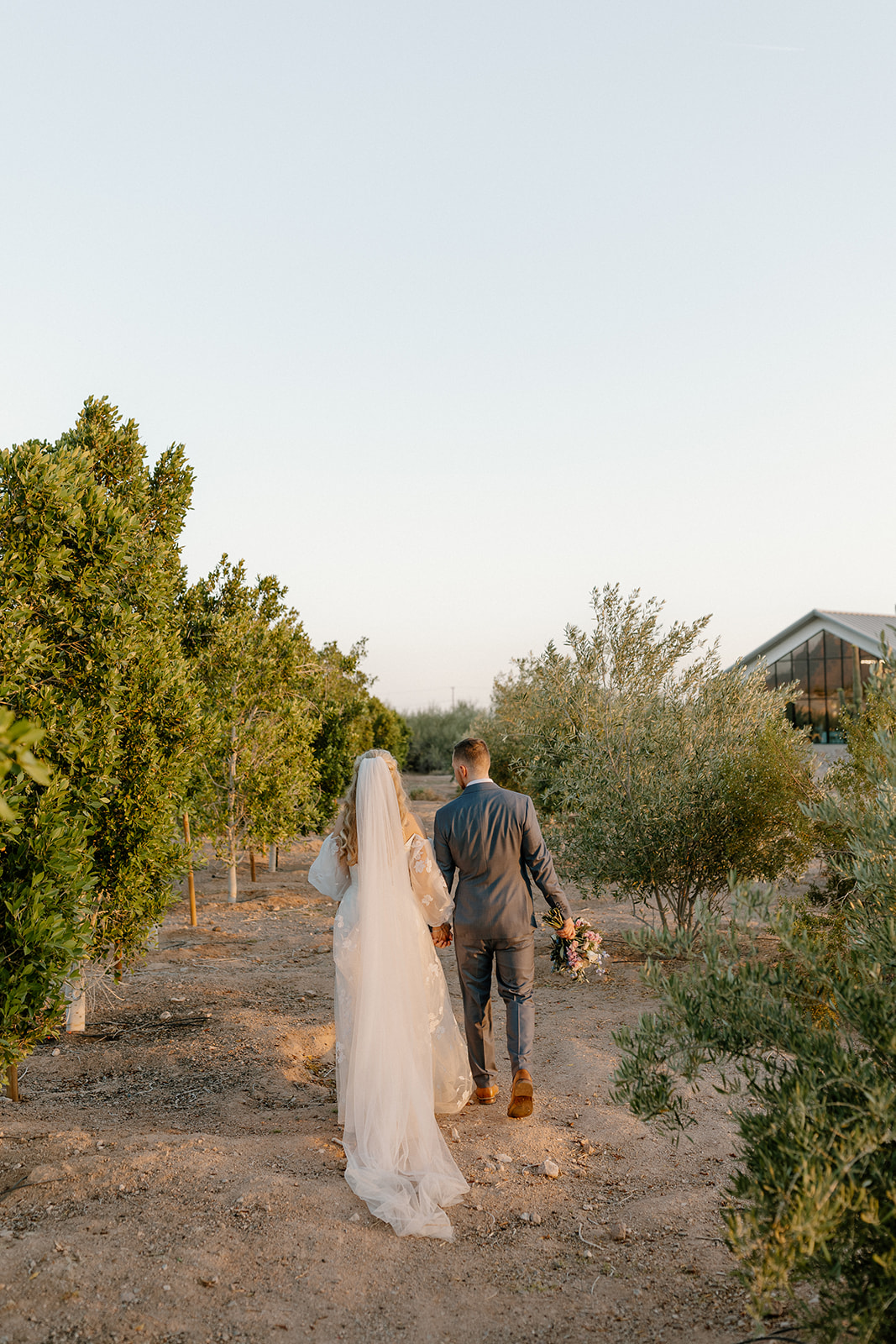 Newly marred couple walk hand in hand away through beautiful trees during golden hour. 