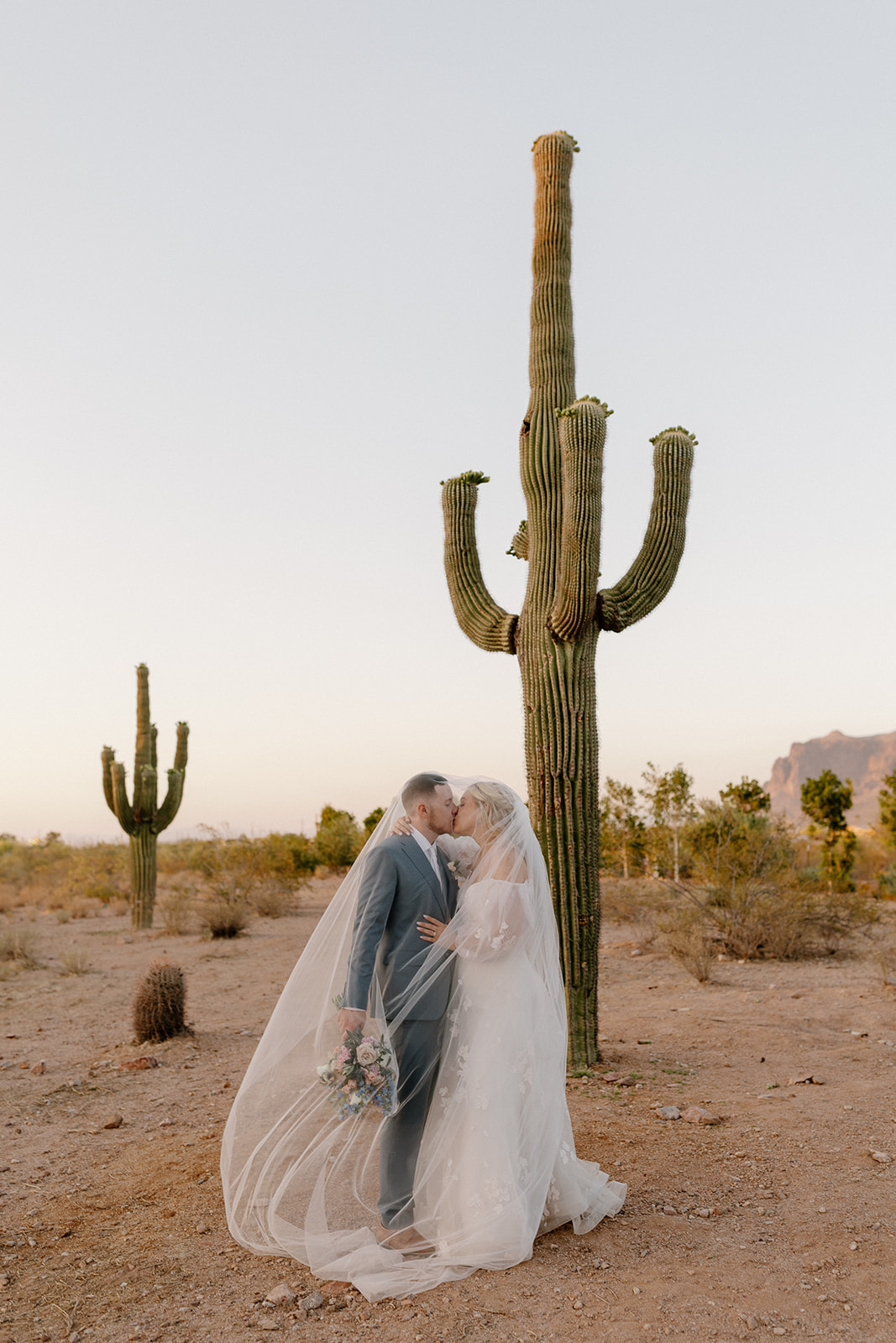 Couple kissing under bride's veil as wind blows it softly while they stand in front of cactus. 