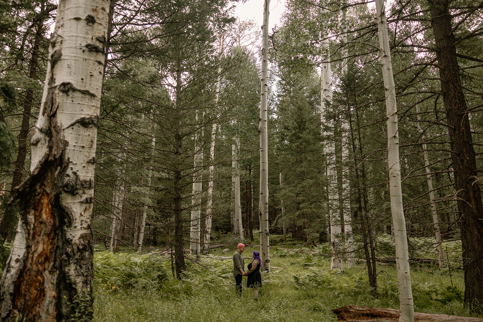 Wide-angle shot of a couple standing together in a forest clearing, surrounded by tall aspens and lush greenery.