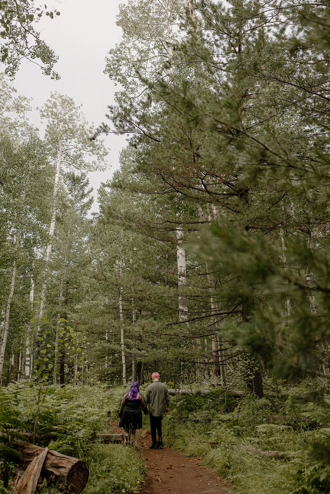 Back view of a couple walking hand-in-hand down a wooded trail—one of the dreamier engagement photo ideas for nature lovers.