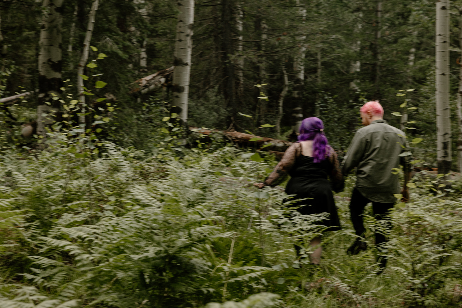 Engagement photo ideas like this one feel cinematic—two people walking through tall ferns, backs to the camera, disappearing into the woods.