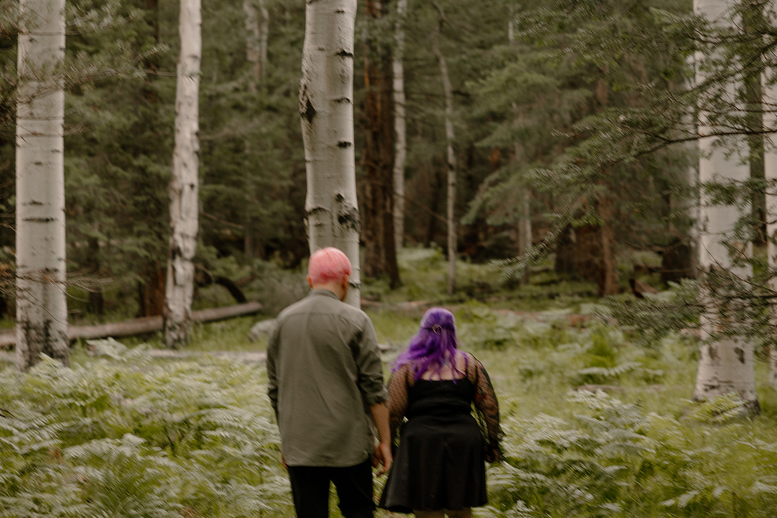 A couple walks hand in hand through a lush forest, surrounded by tall aspens and soft ferns.