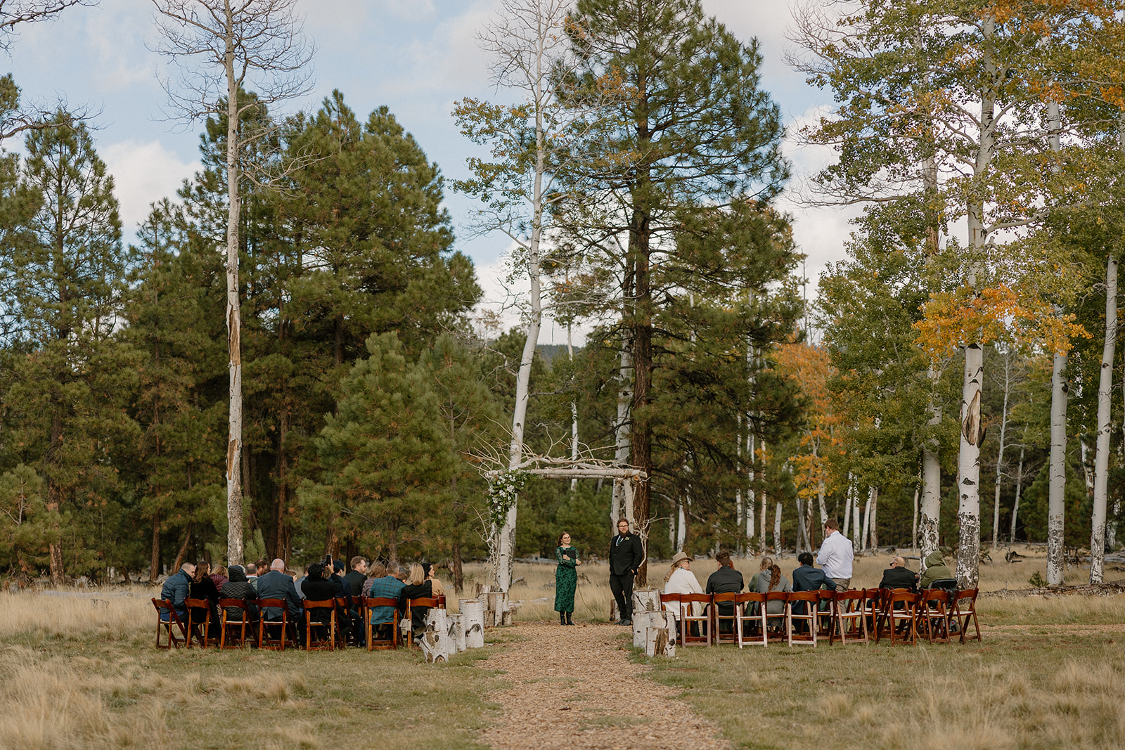 Wedding guests seated beneath towering pines, waiting for the ceremony to begin at Nordic Village AZ’s forest clearing.