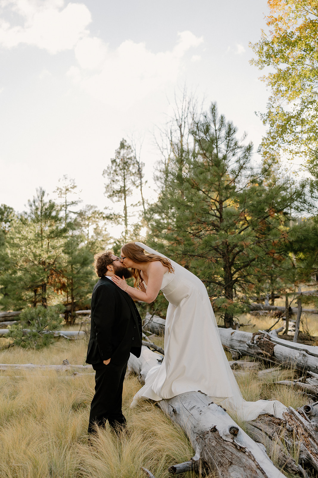 Bride leans down from a fallen log to kiss her groom, both framed by pine trees and golden meadow grass at Nordic Village AZ.