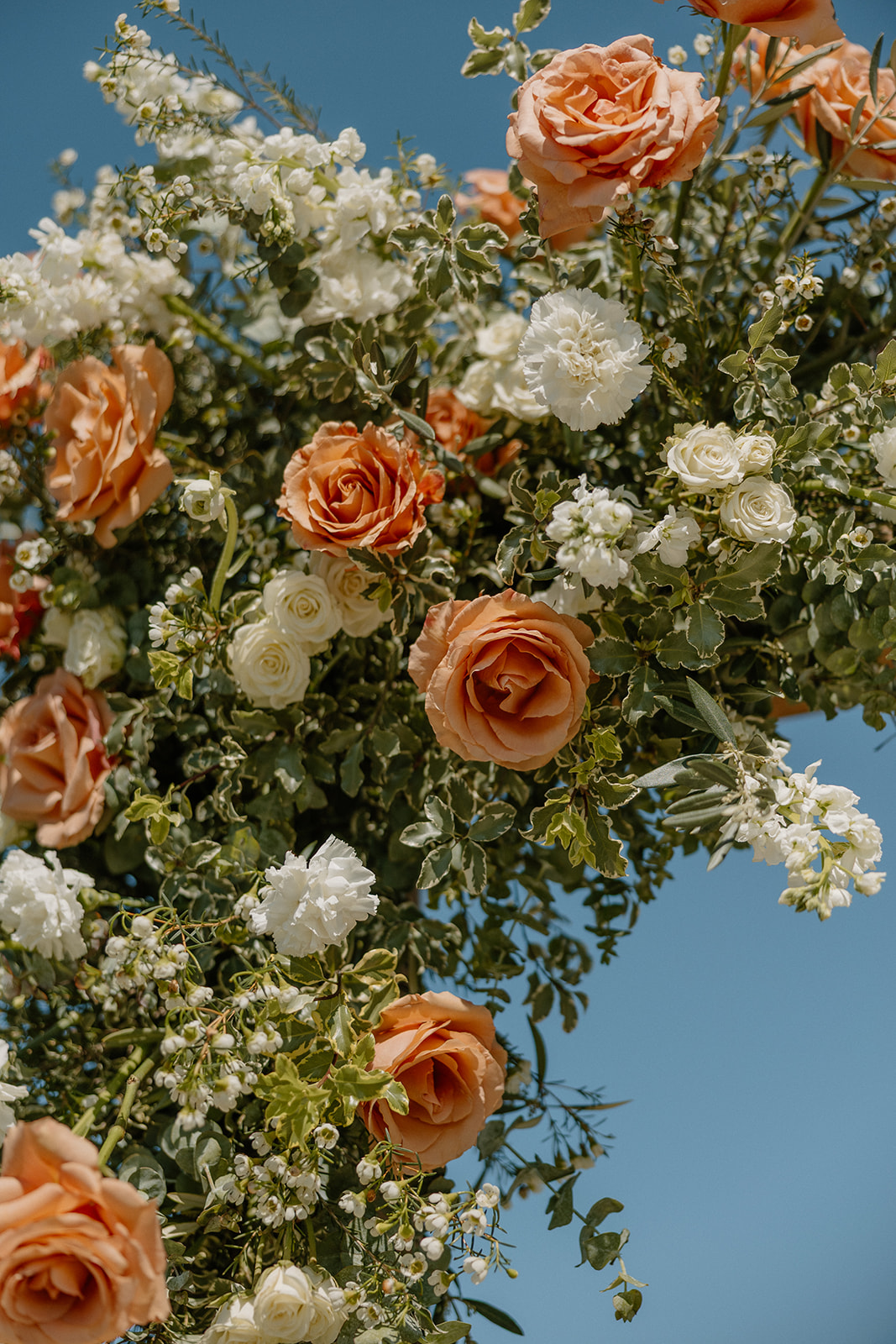 Terracotta and white florals in a lush wedding arch arrangement popping against a bright blue Arizona sky.