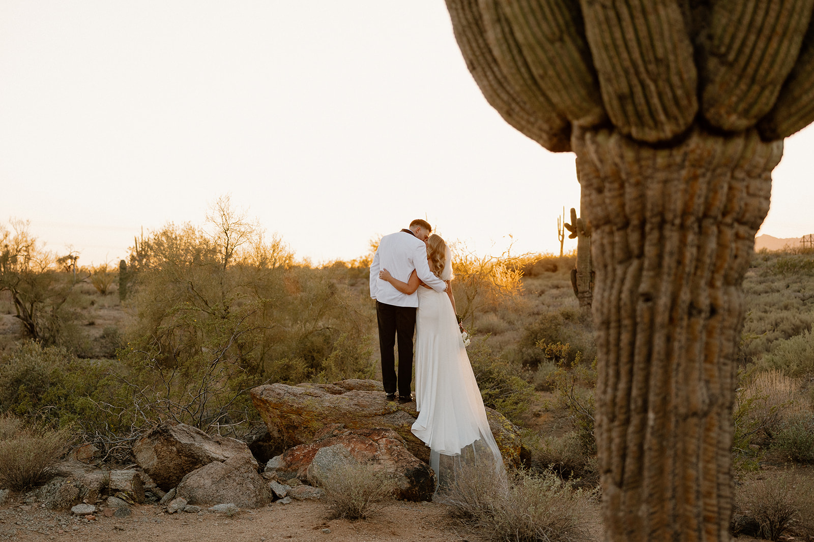 Couple standing on a desert rock formation surrounded by cactus and golden light, sharing a quiet embrace at sunset.