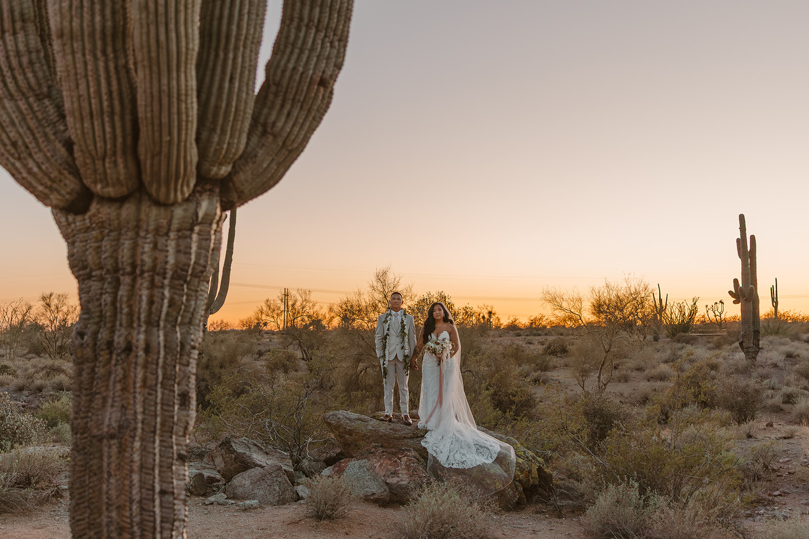 Couple standing on desert rocks at sunset with a cactus in the foreground, giving bold editorial elopement energy.