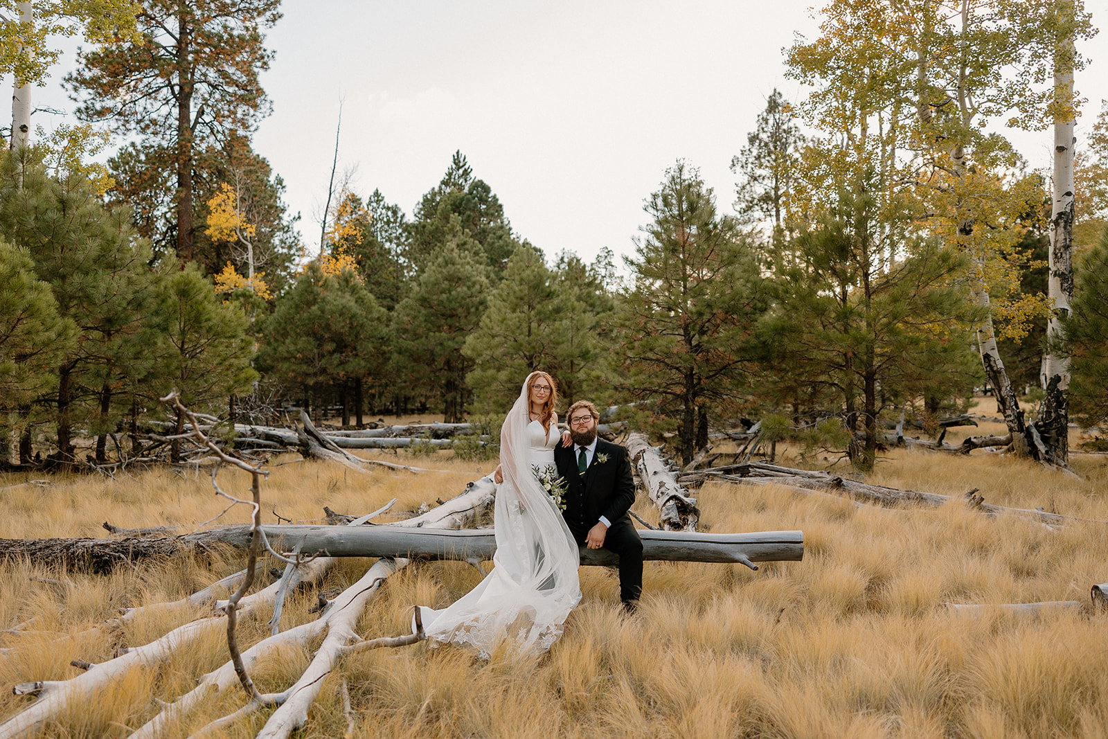 Bride and groom sitting on fallen logs in a pine meadow during their Arizona elopement.