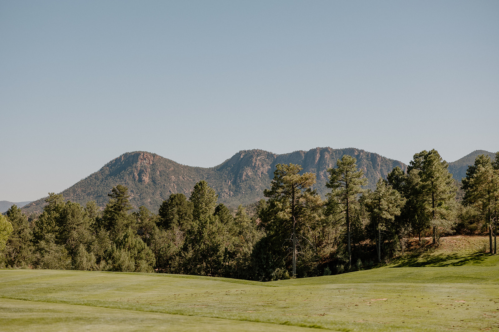 Mountain landscape and open green lawn framed by pine trees at a Payson wedding venue on a clear day.