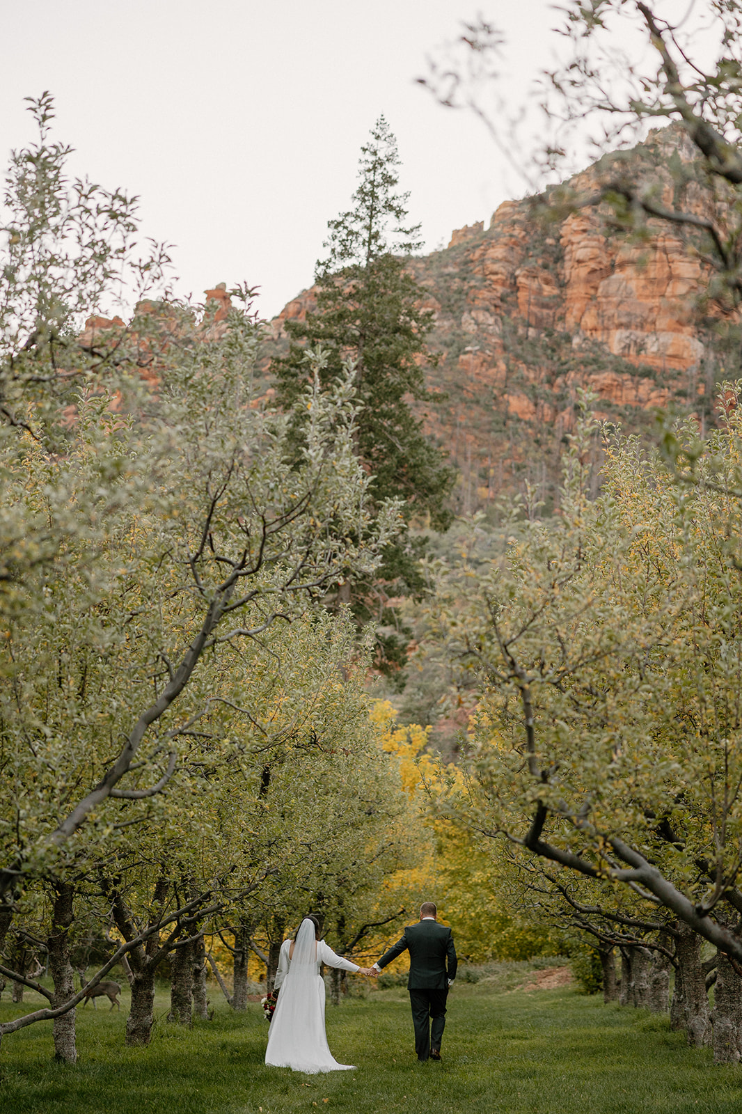 Bride and groom walking hand in hand through an orchard at a Sedona wedding venue with red rock views