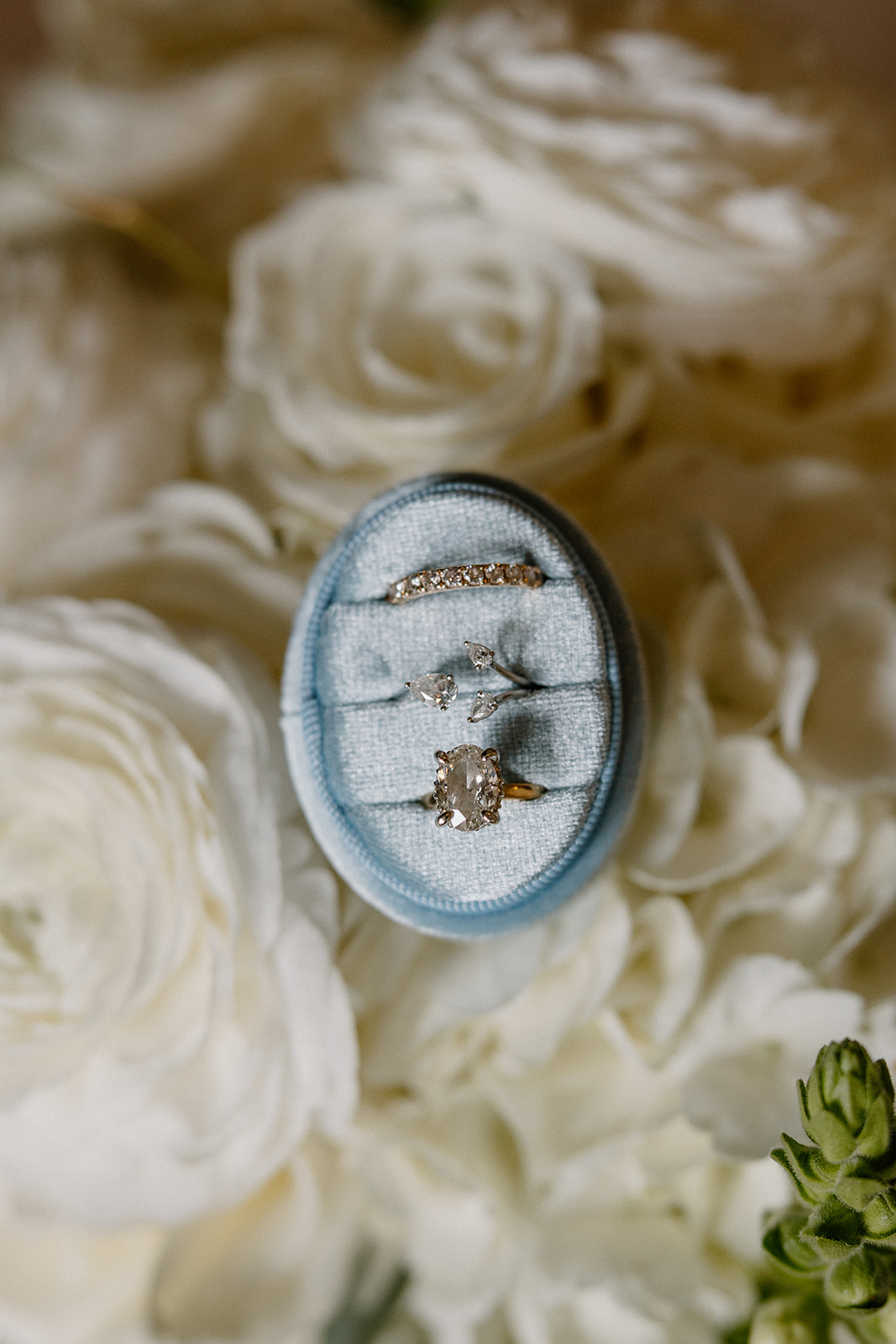 Wedding rings styled in a velvet ring box on white flowers during a Biltmore wedding
