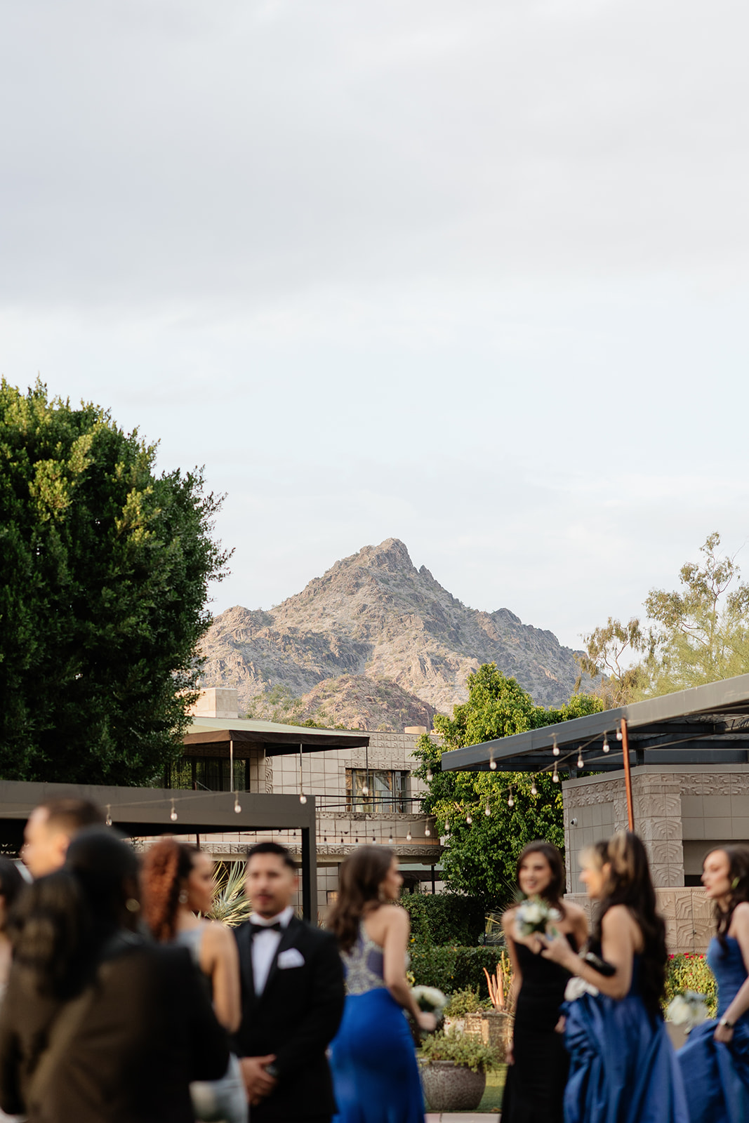 Guests mingling outdoors with mountain views in the background during cocktail hour
