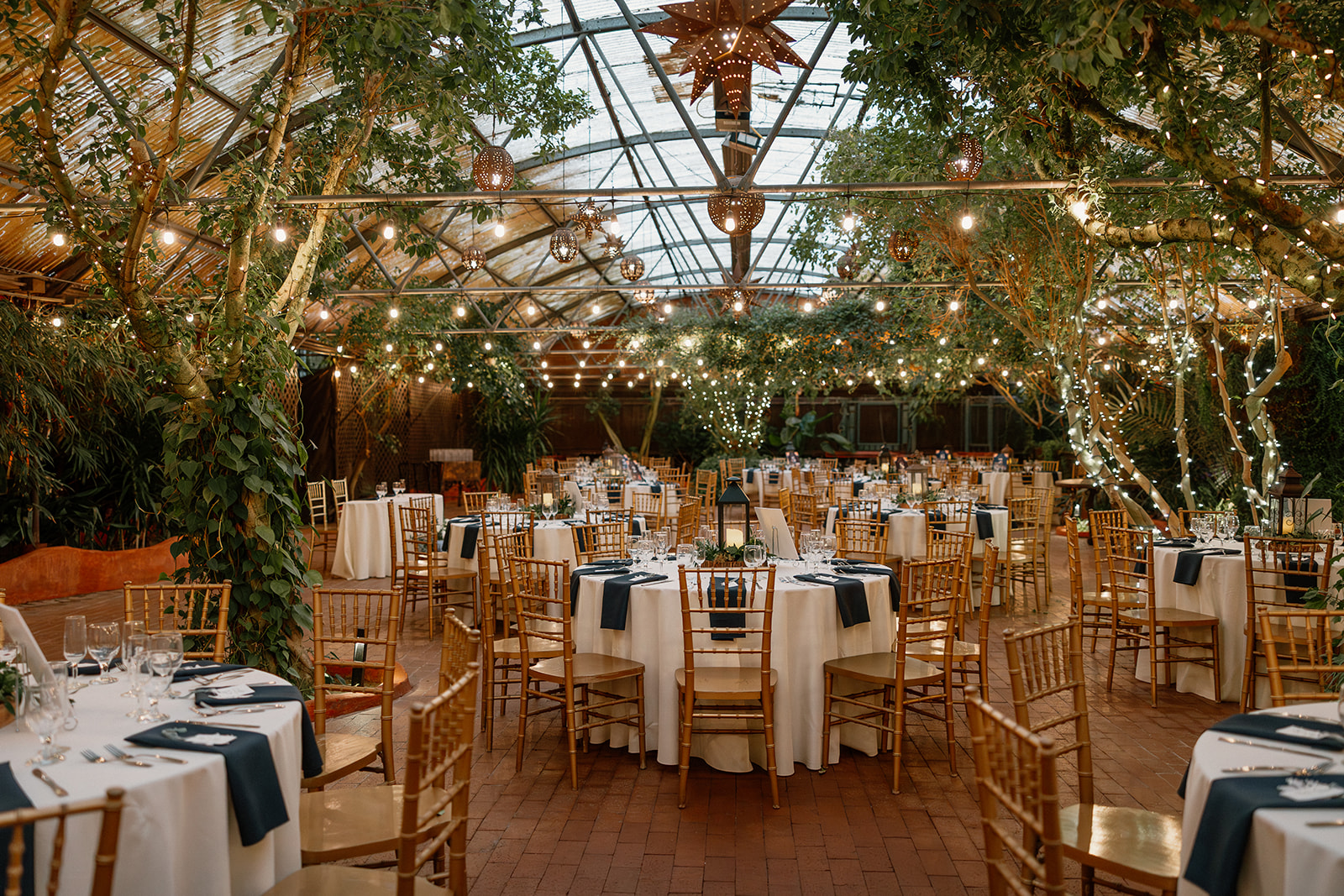 Elegant greenhouse wedding reception setup with string lights and gold chairs at Arizona venue
