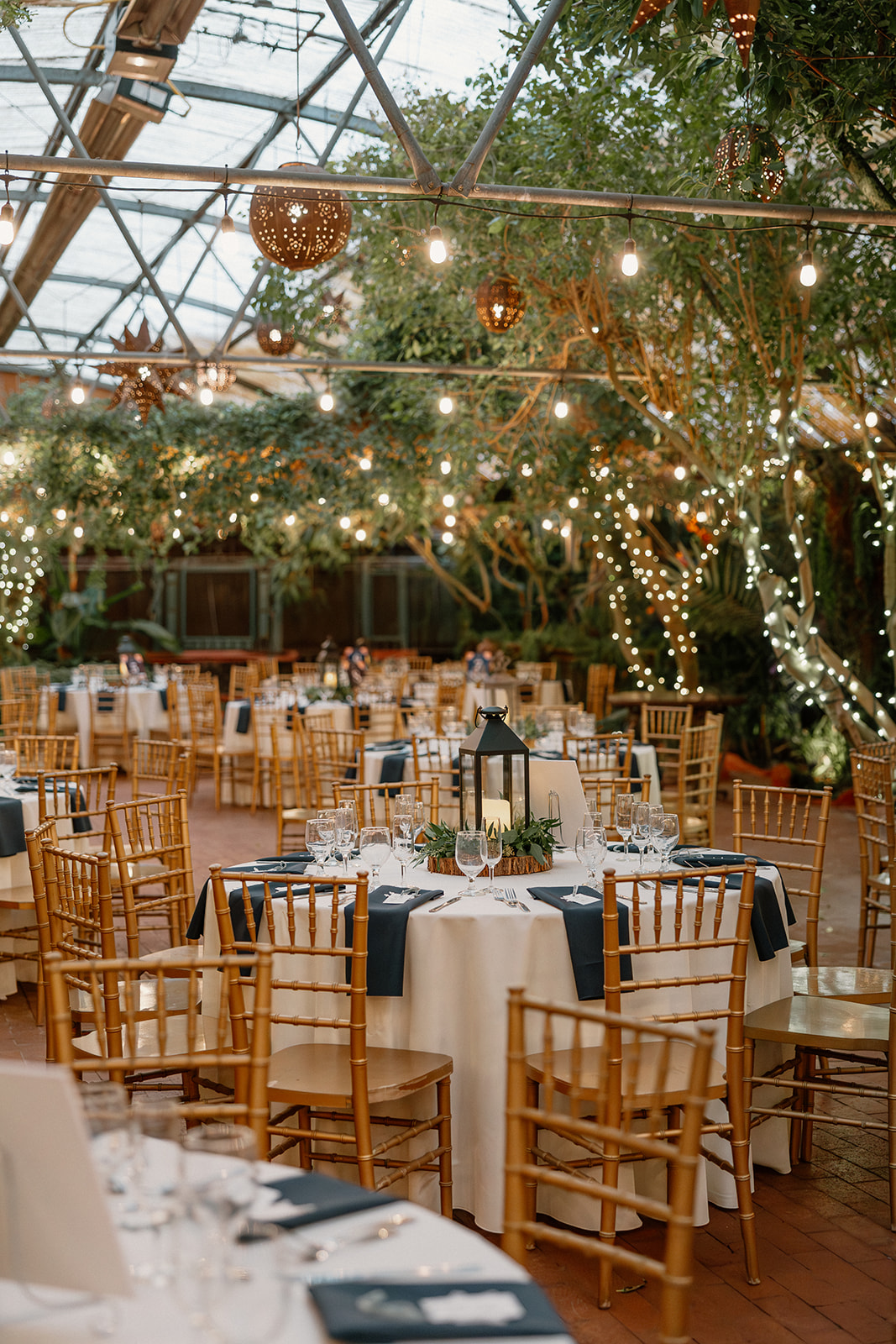 Reception tables set with gold chairs and string lights inside Arizona wedding venue greenhouse
