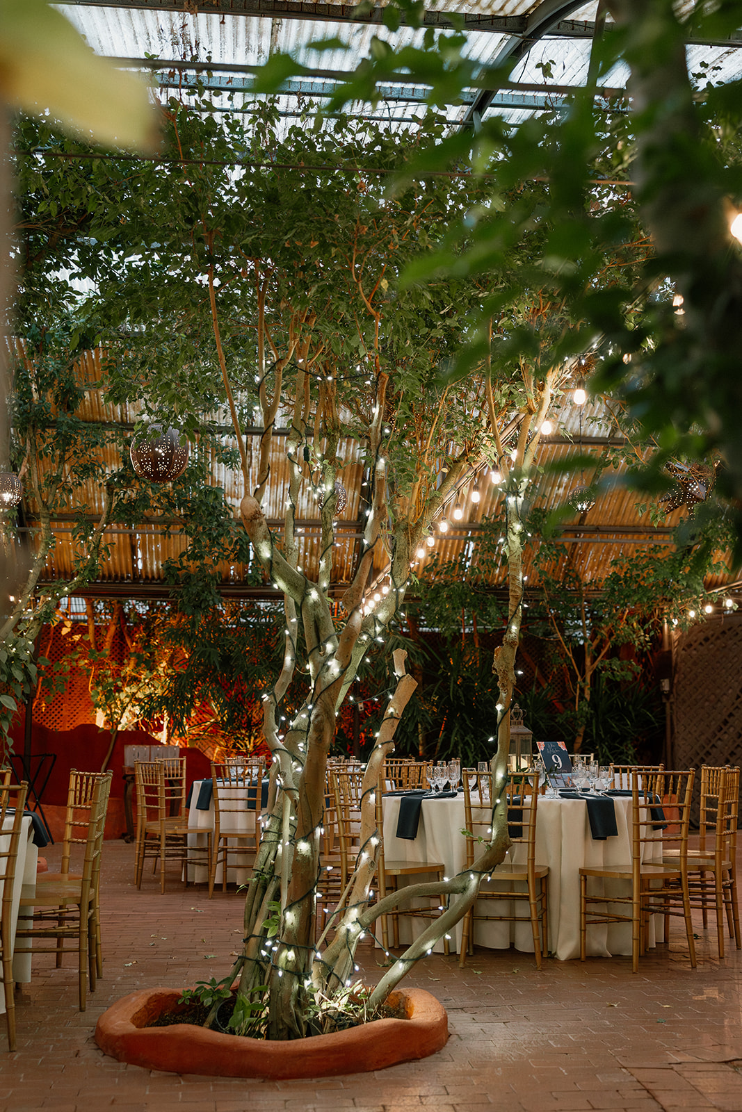 Tree wrapped in twinkle lights surrounded by reception tables at cozy Arizona wedding venues
