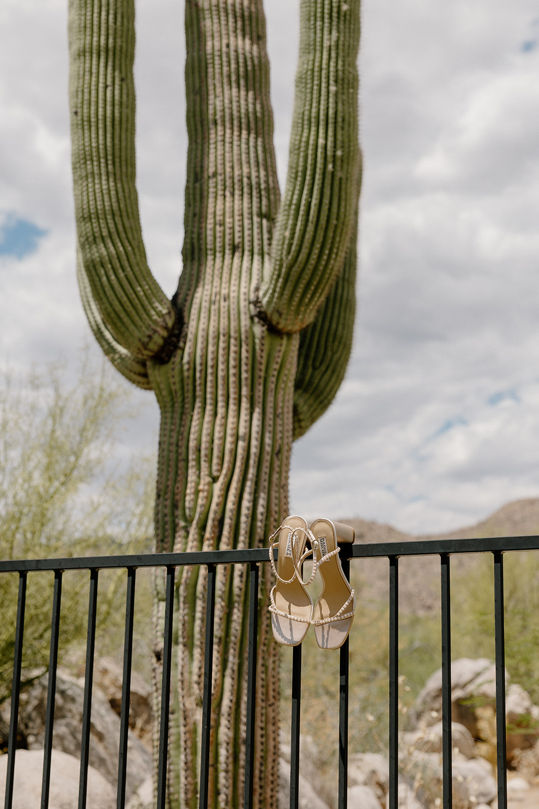 Wedding shoes on a fence next to a cactus