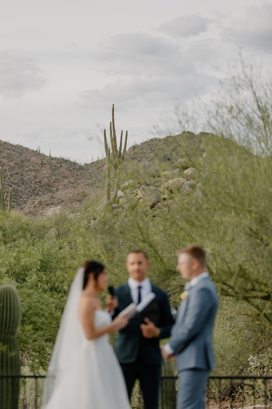 The desert view from a backyard wedding